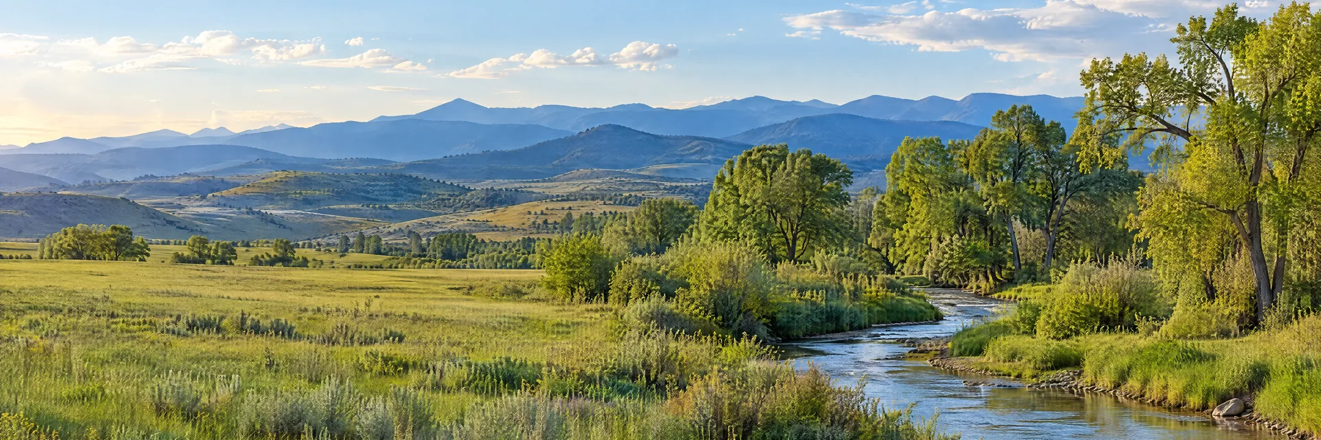 Illustration inspired by Longmont, CO: colorado northern Front Range foothills, green open meadow, cottonwood-lined creek and distant blue mountain ridges without a specific named summit.