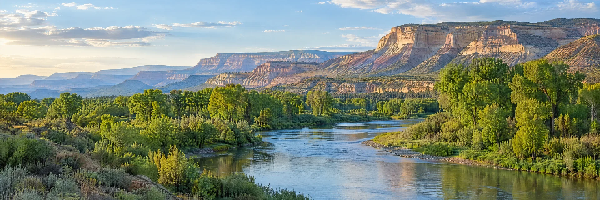 Illustration inspired by Palisade, CO: western Colorado broad river valley with cottonwoods and distant layered tan mesa cliffs.