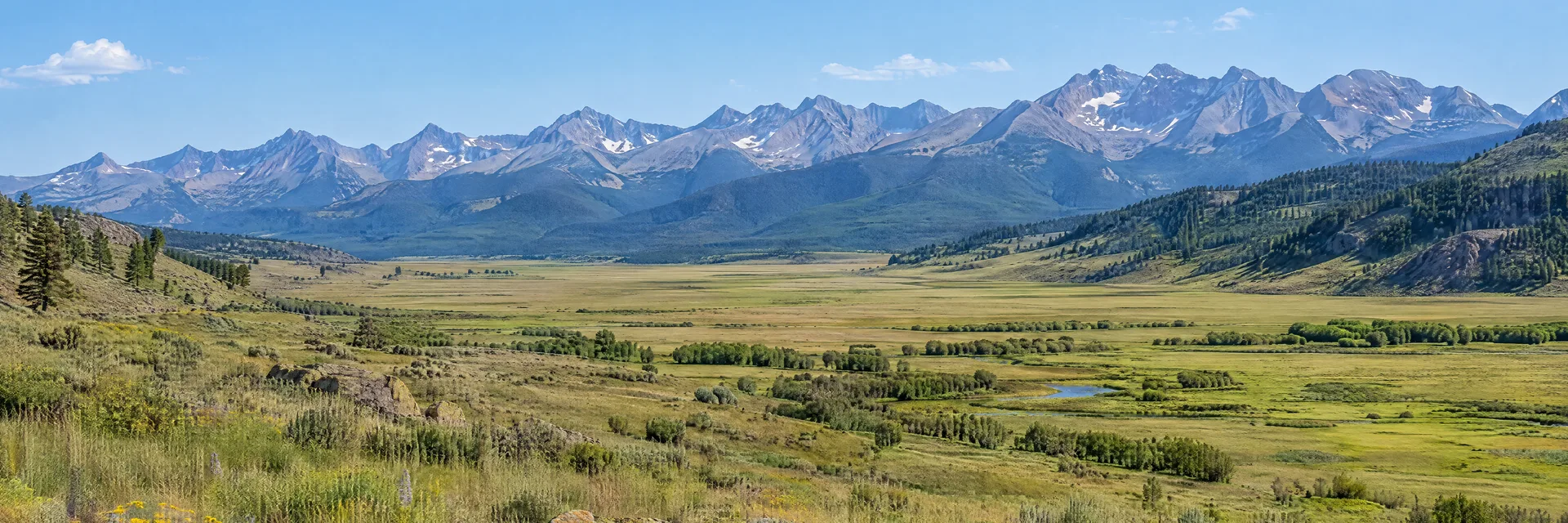 Illustration inspired by Westcliffe, CO: colorado Wet Mountain Valley open grassland with the distant rugged Sangre de Cristo mountain range under clear daylight.