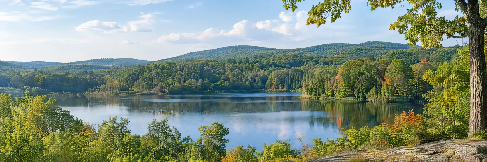 Illustration inspired by Watertown, CT: western Connecticut countryside, softly rolling wooded hills, quiet freshwater pond and leafy oak and maple trees.