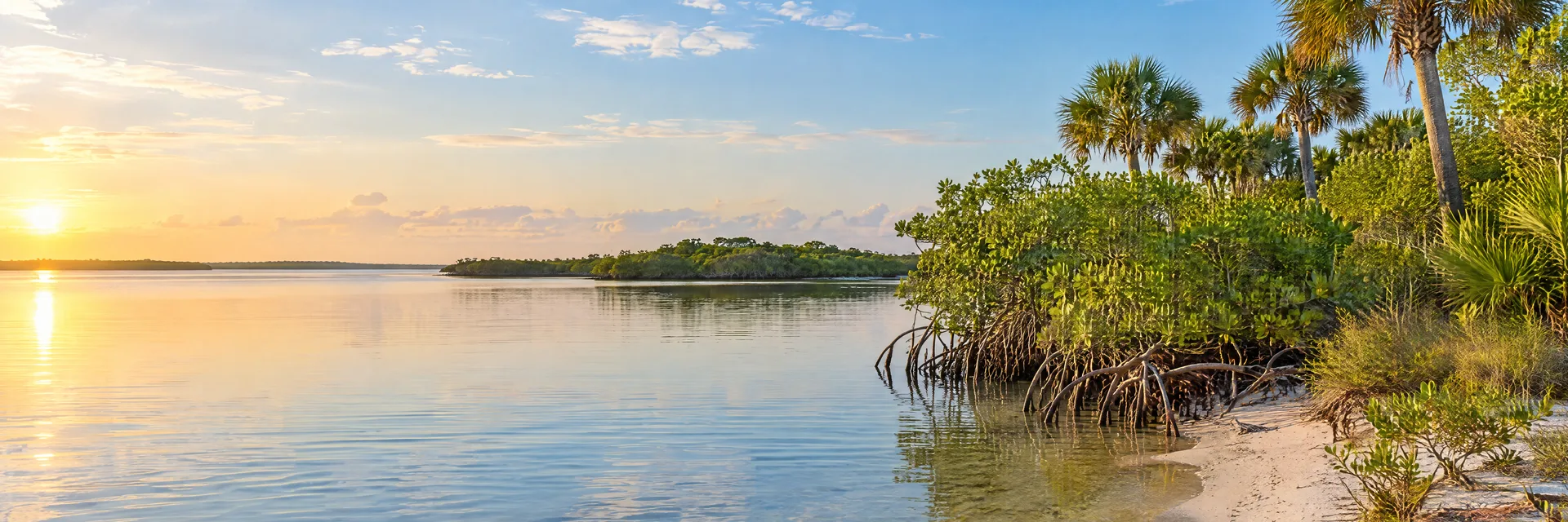 Illustration inspired by Bonita Springs, FL: southwest Florida Gulf coast region, quiet tidal estuary, mangrove edges, native palms and pale sand under warm morning light.