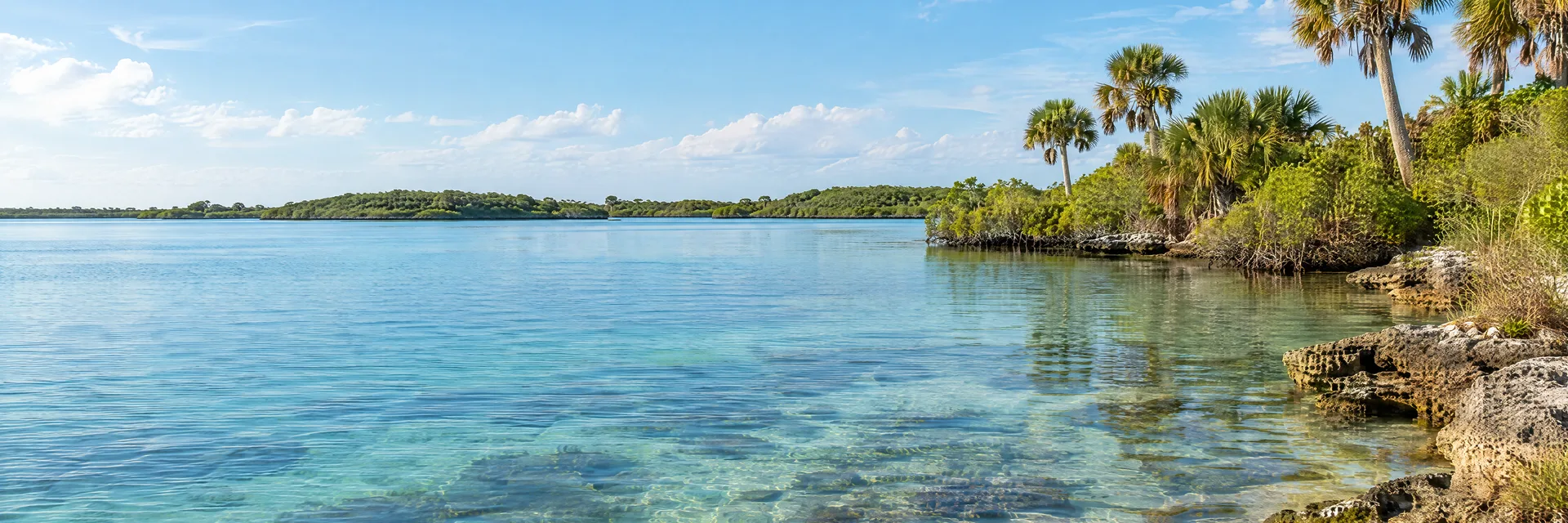 Illustration inspired by Crystal River, FL: florida Gulf coast spring-country, clear shallow water, palms and low green shoreline.