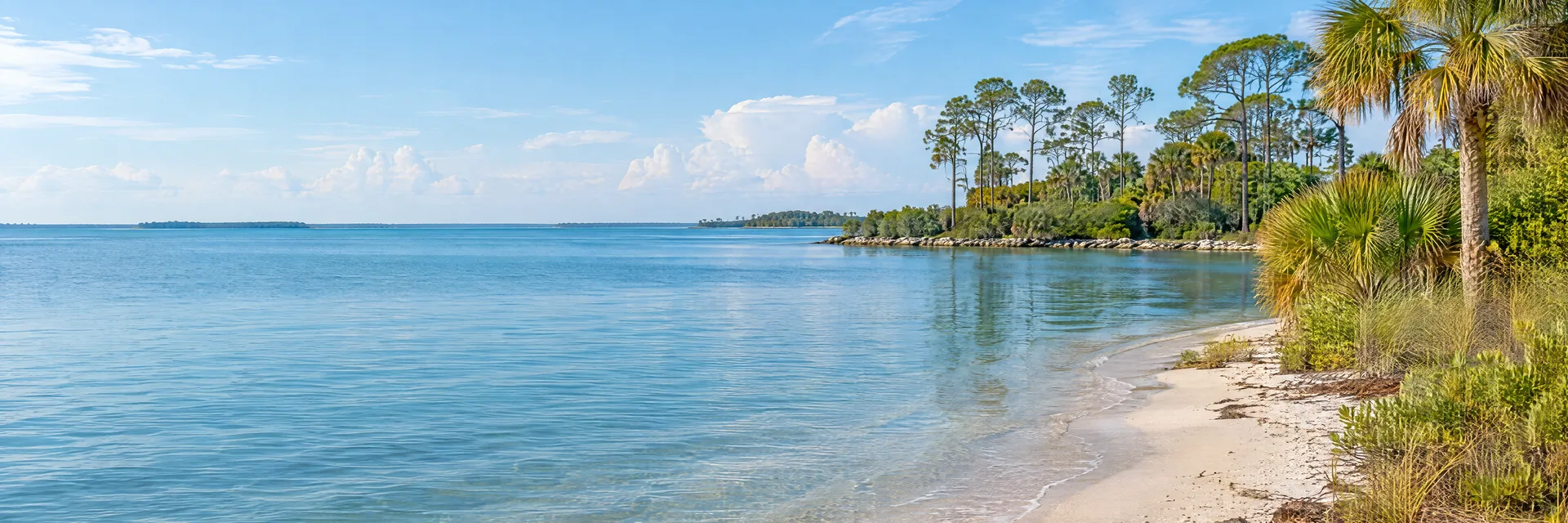 Illustration inspired by Dunedin, FL: florida Gulf coast region, calm blue tidal water, pale sandy shore, native palms and low coastal pine woodland.