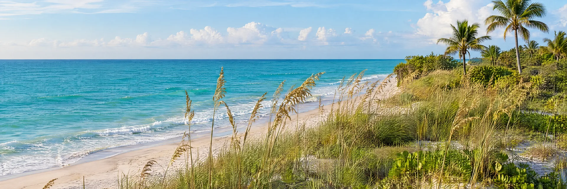Illustration inspired by Fort Pierce, FL: atlantic coastal dunes, sea oats, turquoise water and palms inland of a sandy shore.