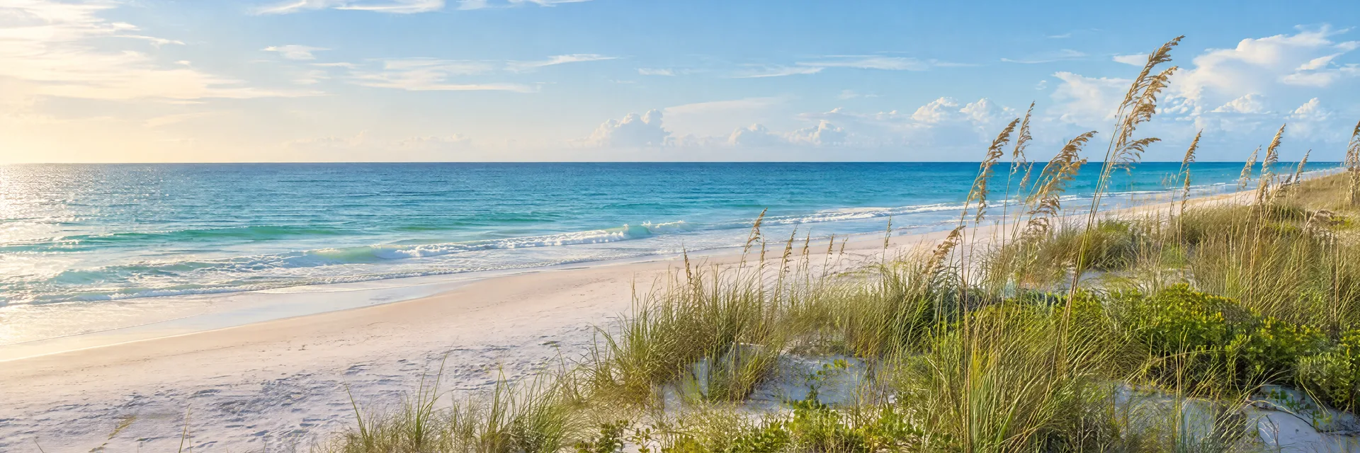 Illustration inspired by Mexico Beach, FL: florida Panhandle pale sandy Gulf beach, blue-green water and native dune grasses.