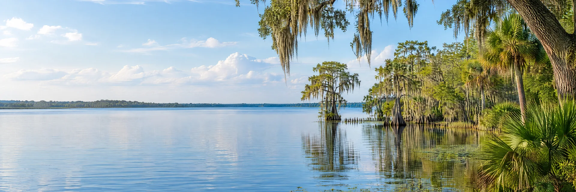 Illustration inspired by Mount Dora, FL: central Florida lake country, calm blue freshwater lake, live oaks with Spanish moss, cypress trees and native palms.