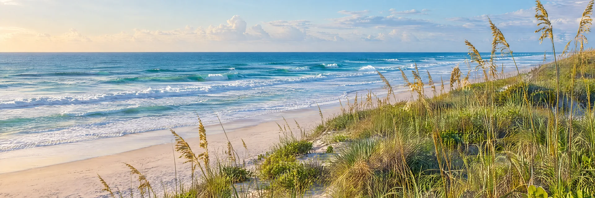 Illustration inspired by New Smyrna Beach, FL: florida Atlantic barrier island shoreline, sea oats, low dunes and rolling blue surf.