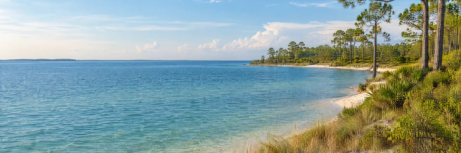 Illustration inspired by Panama City, FL: florida Panhandle coastal bay, native pine woodland, pale sandy shore and blue-green water.