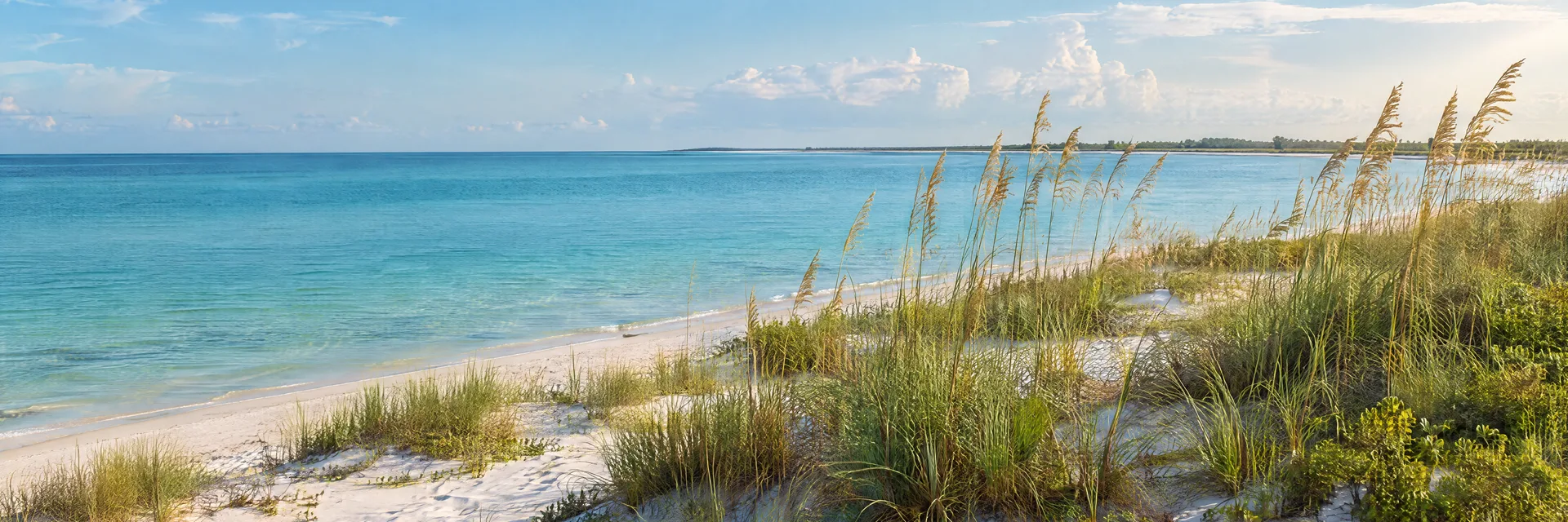 Illustration inspired by Port St. Joe, FL: florida Gulf coastal dunes, white sand, sea oats and calm turquoise bay water; flat coastline.