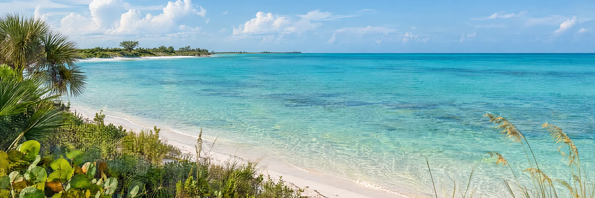 Illustration inspired by Sarasota, FL: turquoise Gulf shallows beside white sand and subtropical coastal vegetation.
