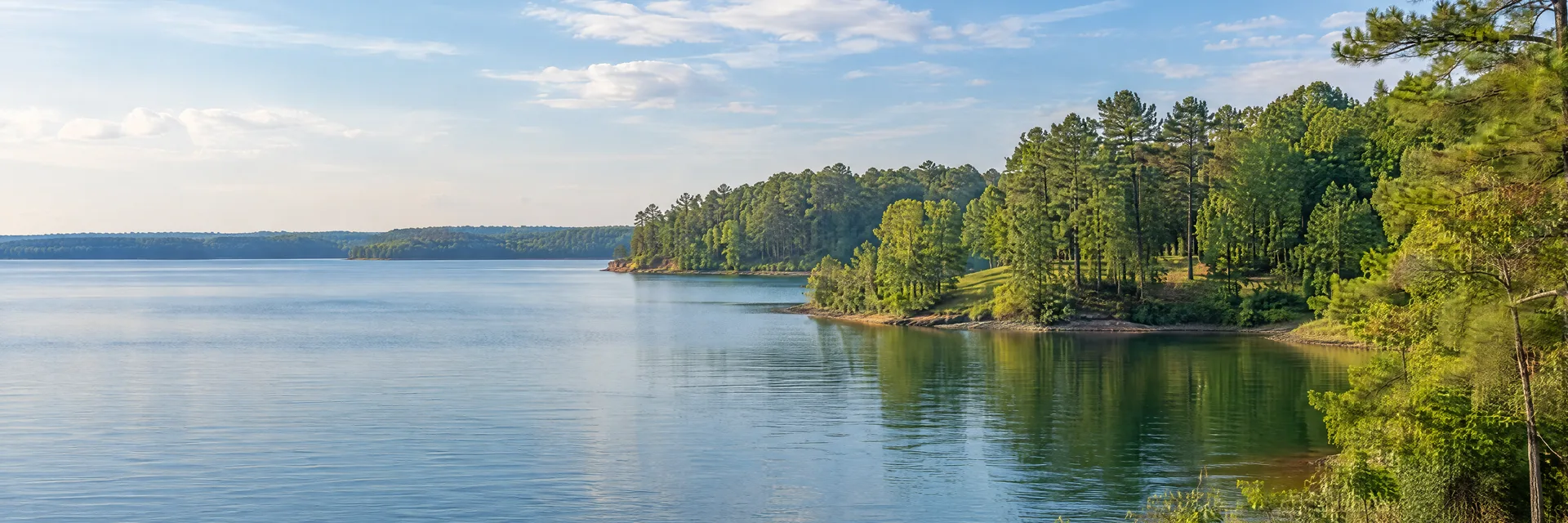 Illustration inspired by APPLING, GA: eastern Georgia reservoir cove, pine and hardwood woods and low green rolling shoreline.