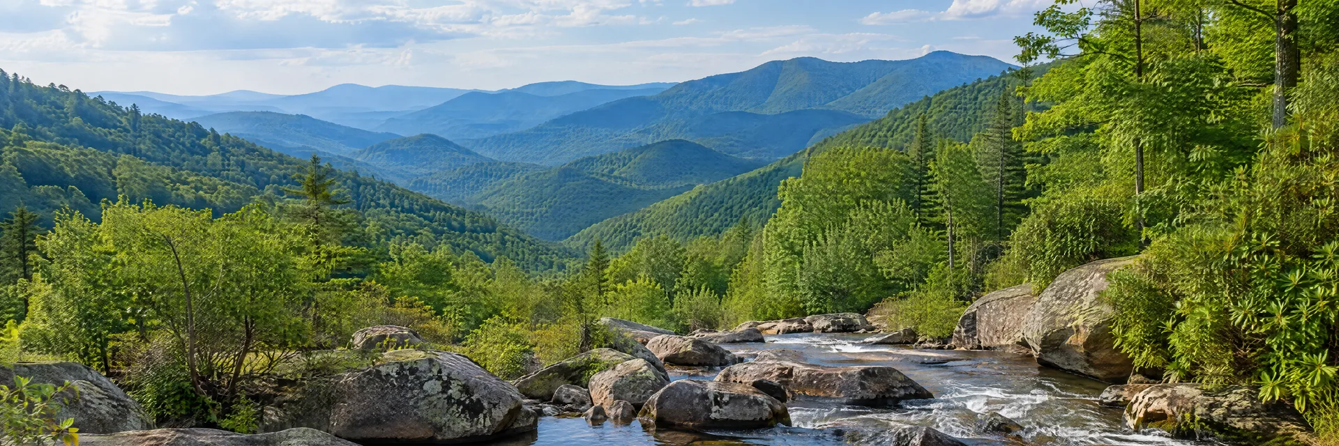 Illustration inspired by Blue Ridge, GA: north Georgia Blue Ridge wooded mountain valley, clear rocky creek and layered green ridges.