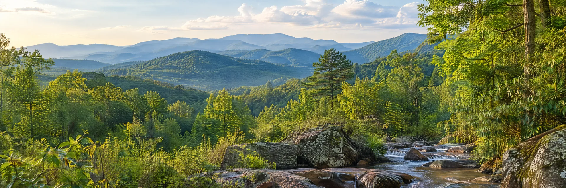 Illustration inspired by Dahlonega, GA: north Georgia wooded mountain foothills, tumbling creek and leafy forest.