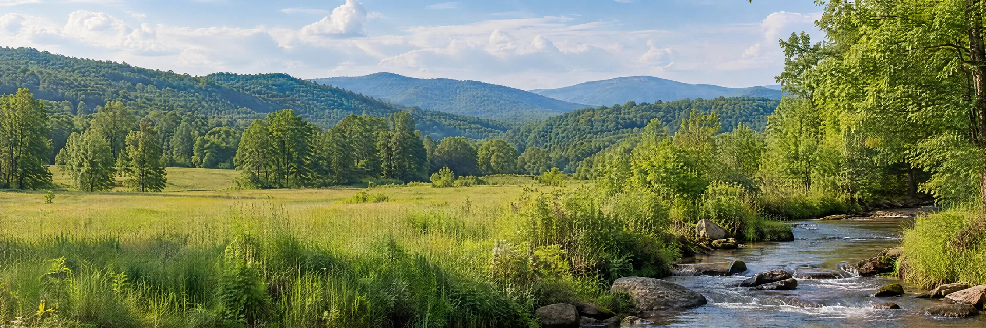 Illustration inspired by Mt. Airy, GA: northeast Georgia rolling wooded foothills, meadow and leafy creek.