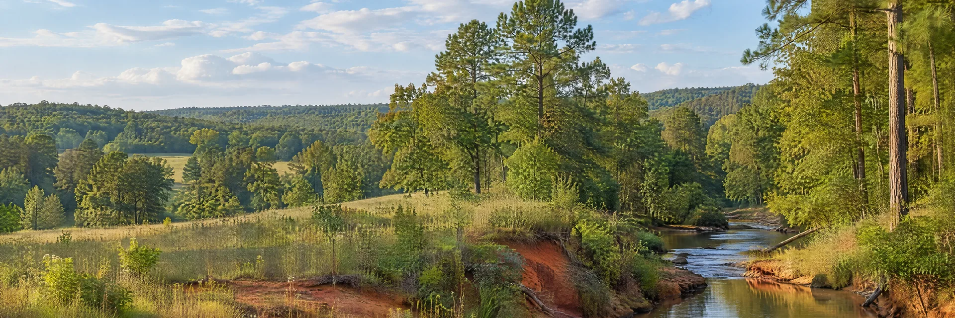 Illustration inspired by Warthen, GA: central Georgia countryside, gently rolling red-clay terrain, mature pine and hardwood trees and a quiet creek.
