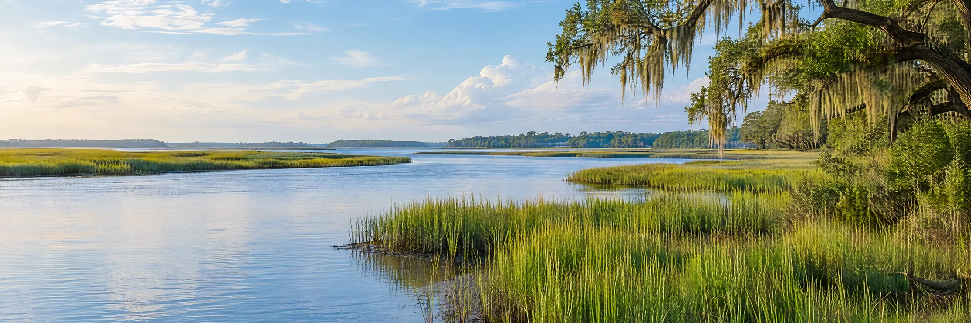 Illustration inspired by Woodbine, GA: coastal Georgia tidal river, salt marsh grass and live oaks with Spanish moss.