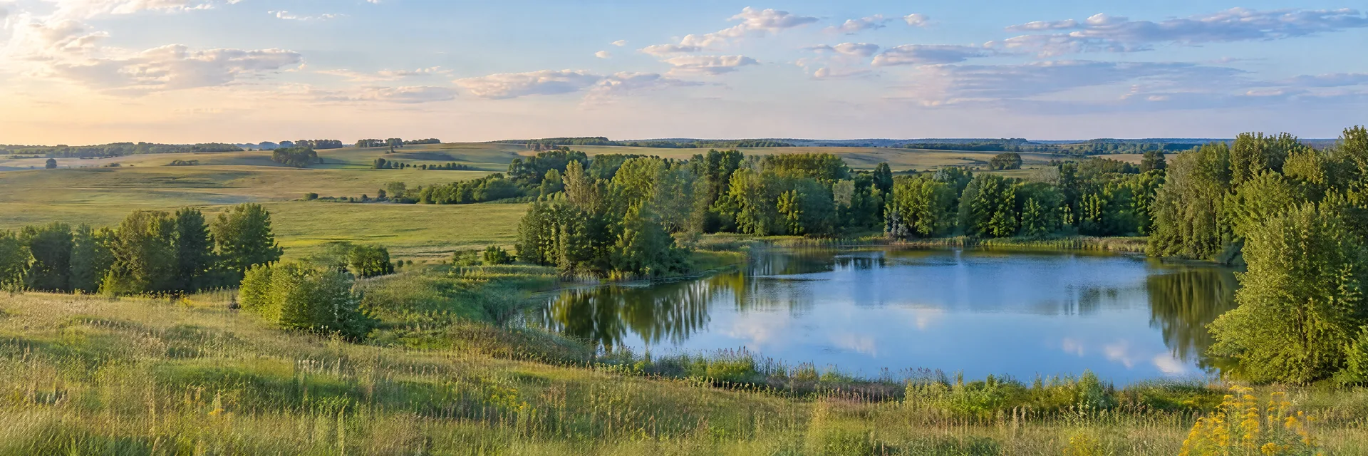 Illustration inspired by Rockwell, IA: north-central Iowa countryside, gently rolling prairie, leafy shelterbelt trees and a small calm freshwater pond.