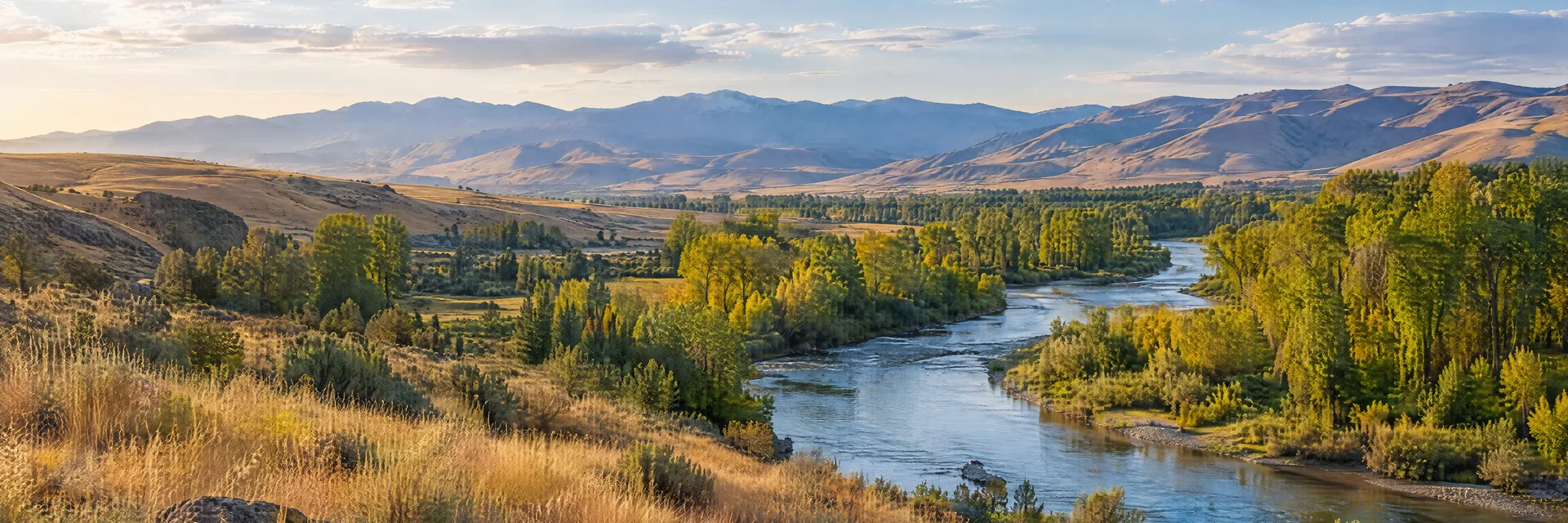 Illustration inspired by Boise, ID: idaho foothills with golden grass, cottonwoods and a flowing river in a broad valley.