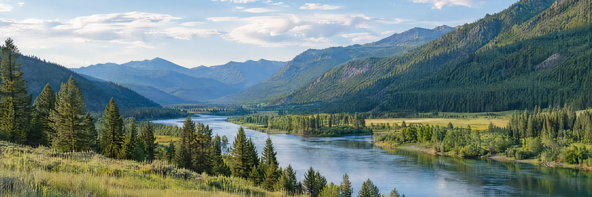 Illustration inspired by Clark Fork, ID: northern Idaho broad river valley with pine-covered mountains and green meadow.