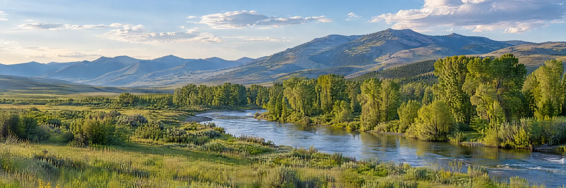 Illustration inspired by Grace, ID: southeastern Idaho high valley, open green meadow, cottonwood-lined river and distant rolling mountain ridges.