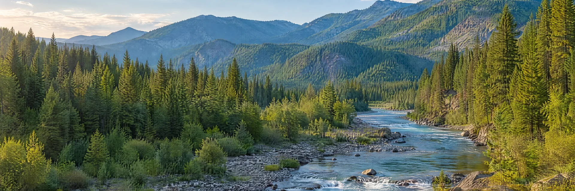 Illustration inspired by Kellogg, ID: northern Idaho mountain river valley with dense evergreen forest.