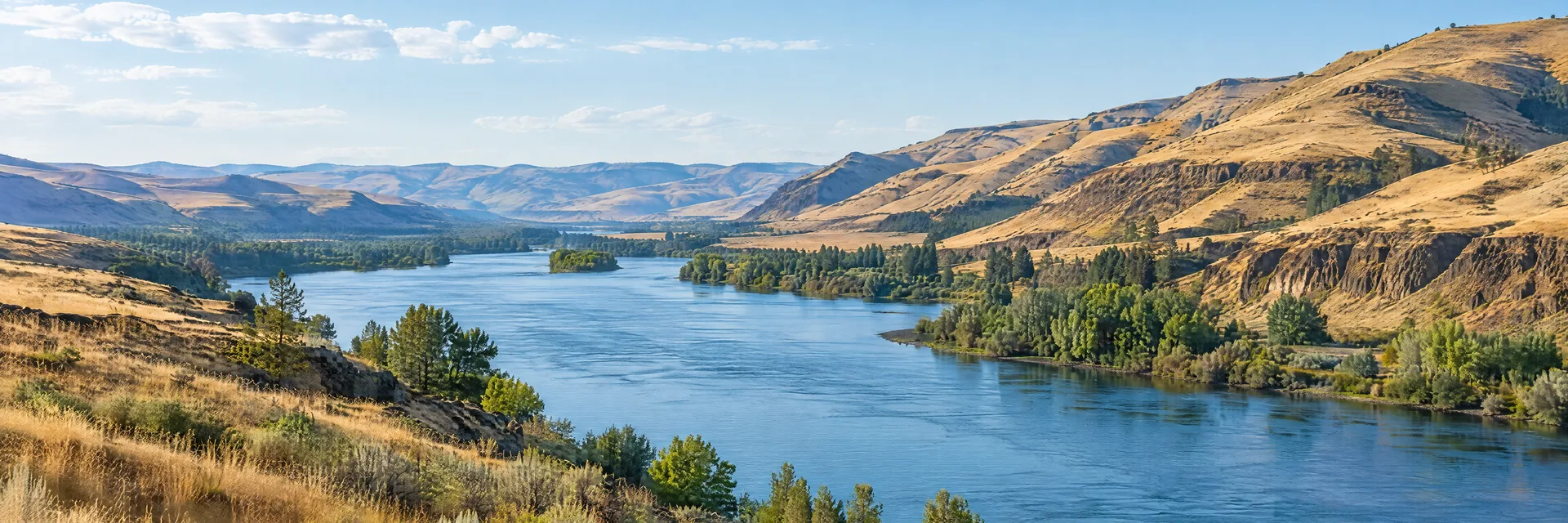 Illustration inspired by Lewiston, ID: north-central Idaho river country, broad blue river, steep golden grass-covered hills and scattered riparian trees.