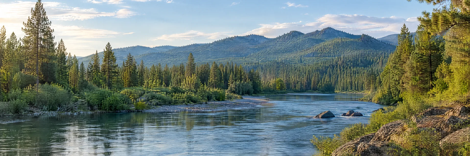 Illustration inspired by Post Falls, ID: northern Idaho river through pine woodland with distant forested hills.