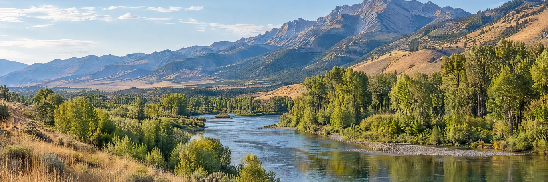 Illustration inspired by Salmon, ID: central Idaho river valley, cottonwoods, dry grassy slopes and distant rugged mountains.