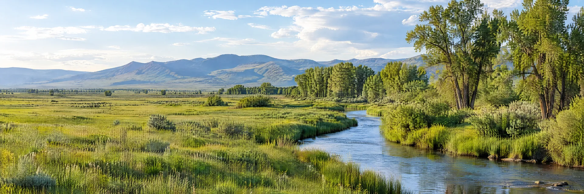 Illustration inspired by Sugar City, ID: eastern Idaho upper Snake River plain, open green meadow, cottonwood-lined creek and distant low mountain ridges.
