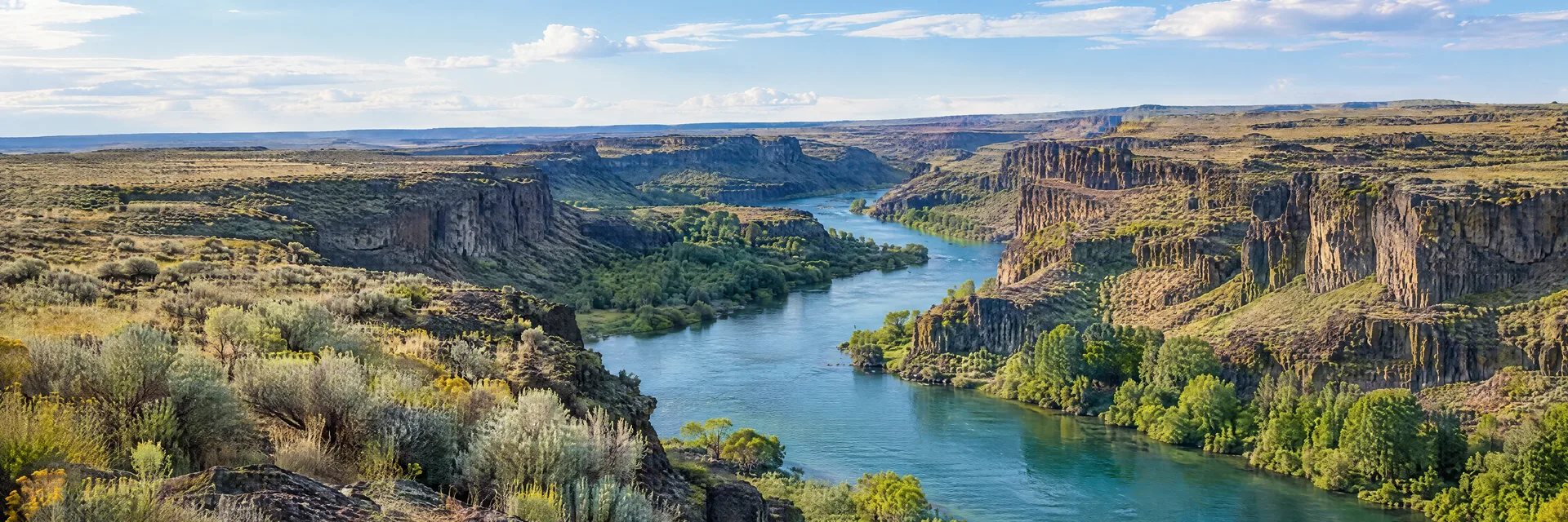 Illustration inspired by Twin Falls, ID: southern Idaho basalt river canyon, sagebrush plateau and clear blue-green river, no bridge or exact waterfall.