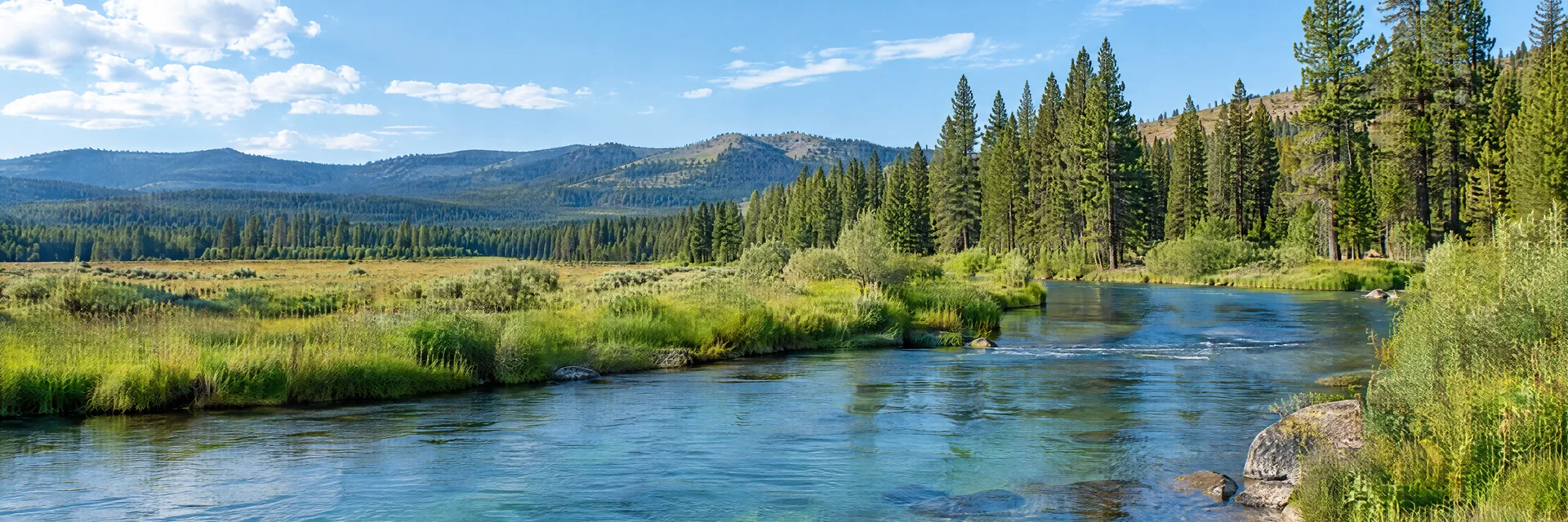 Illustration inspired by Warm River, ID: eastern Idaho clear spring-fed river with pine forest and grassy banks.