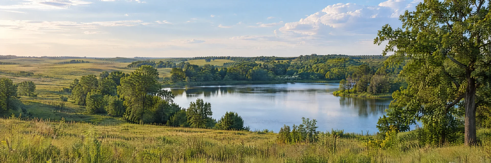 Illustration inspired by Bloomington, IL: central Illinois rolling prairie country, leafy oak groves, green meadow and a quiet small freshwater lake.