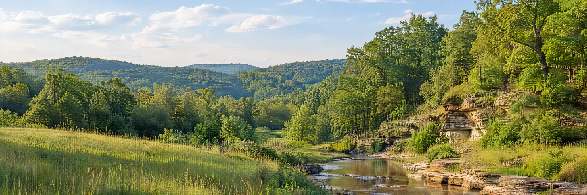 Illustration inspired by Waveland, IN: west-central Indiana countryside, rolling hardwood-covered hills, sandstone-lined creek and a grassy clearing.