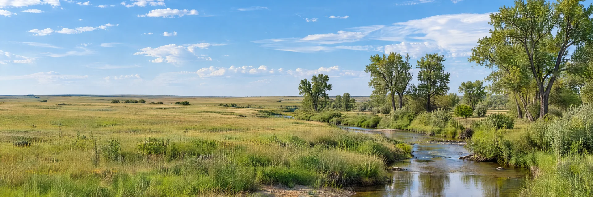 Illustration inspired by Haven, KS: south-central Kansas prairie, broad open grassland, scattered cottonwoods and a quiet shallow creek beneath a spacious blue sky.