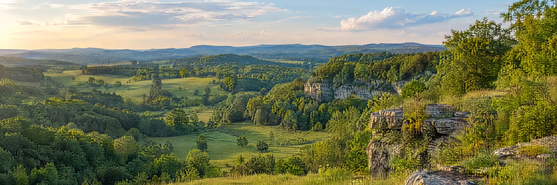 Illustration inspired by Cave City, KY: kentucky karst countryside, rolling pasture, hardwood woodland and low limestone edges; no invented cave interior.