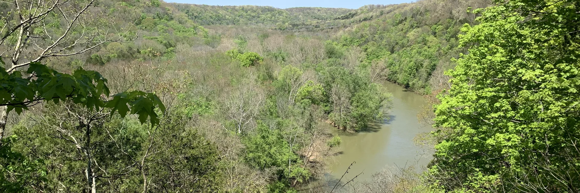 Spring foliage and the Green River valley in Mammoth Cave National Park.