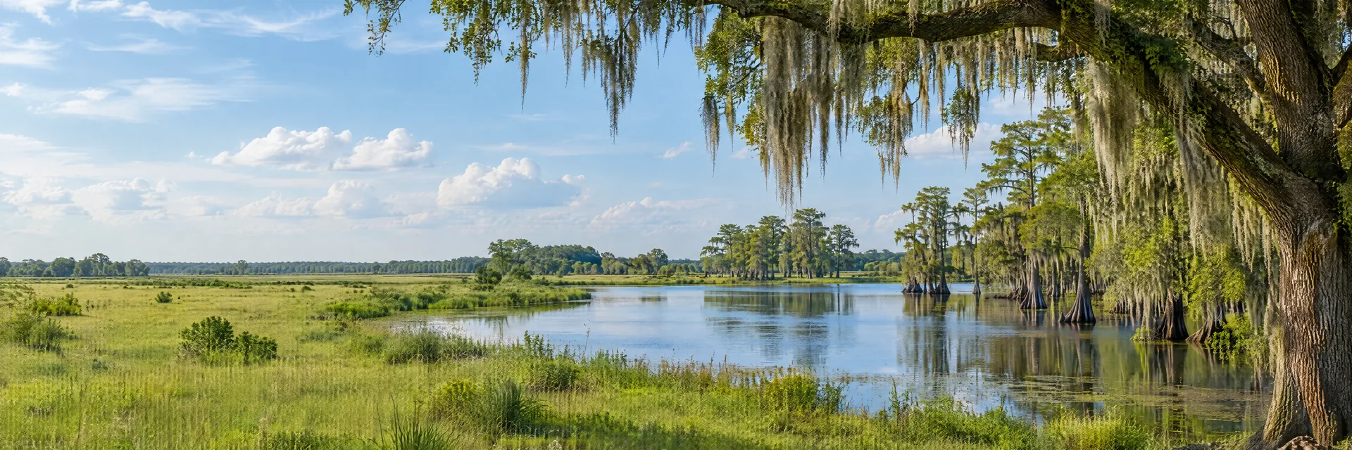 Illustration inspired by Eunice, LA: southern Louisiana prairie country, flat green meadow, live oaks with Spanish moss and a quiet cypress-edged freshwater pond.