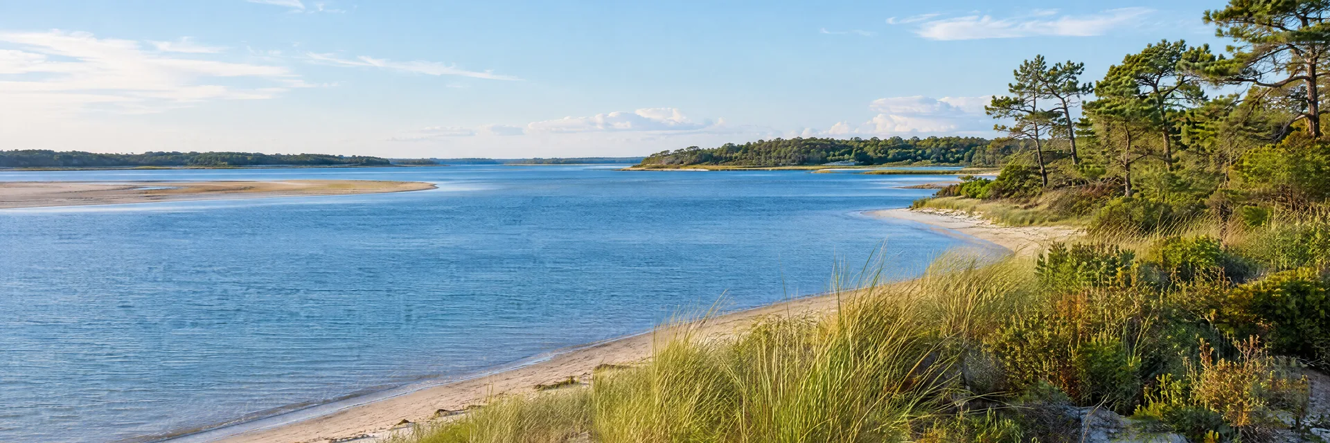 Illustration inspired by Bourne, MA: massachusetts Cape Cod region, quiet blue tidal inlet, sandy shore, beach grass and low pitch pine woodland.