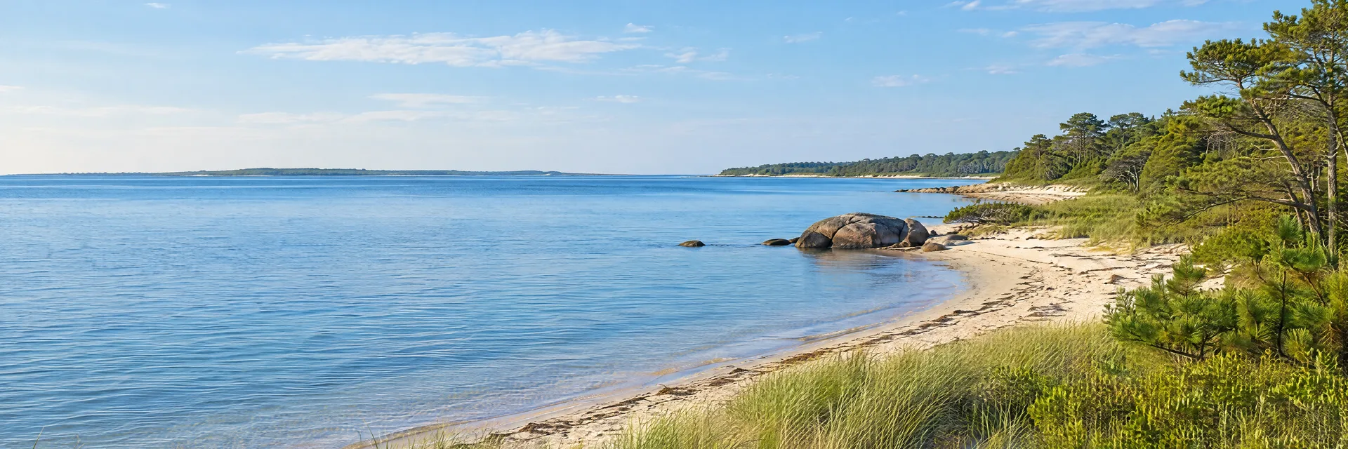 Illustration inspired by Falmouth, MA: massachusetts Cape Cod coast, calm blue tidal bay, pale sandy shore, beach grass and low pitch pine woodland.