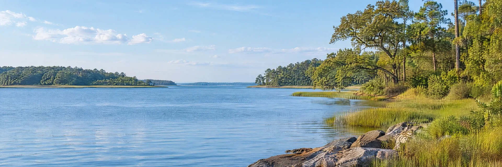 Illustration inspired by Annapolis, MD: maryland Chesapeake Bay region, calm blue tidal inlet, low grassy shoreline and mature oak and pine woodland.