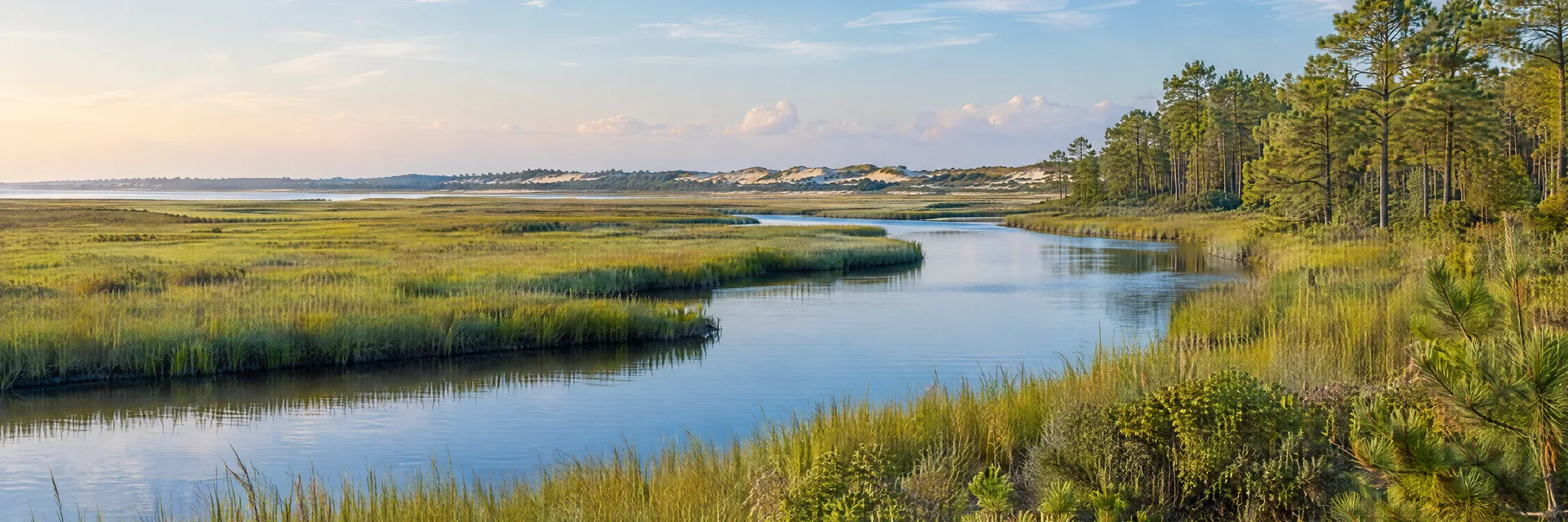 Illustration inspired by Berlin, MD: maryland coastal plain with salt-marsh creek, pine woodland and distant dunes.