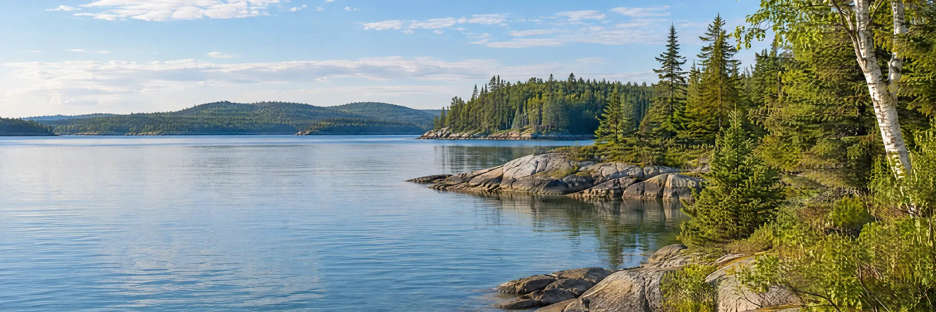Illustration inspired by Ellsworth, ME: downeast Maine quiet freshwater shore with spruce, birch, granite stones and low wooded hills.