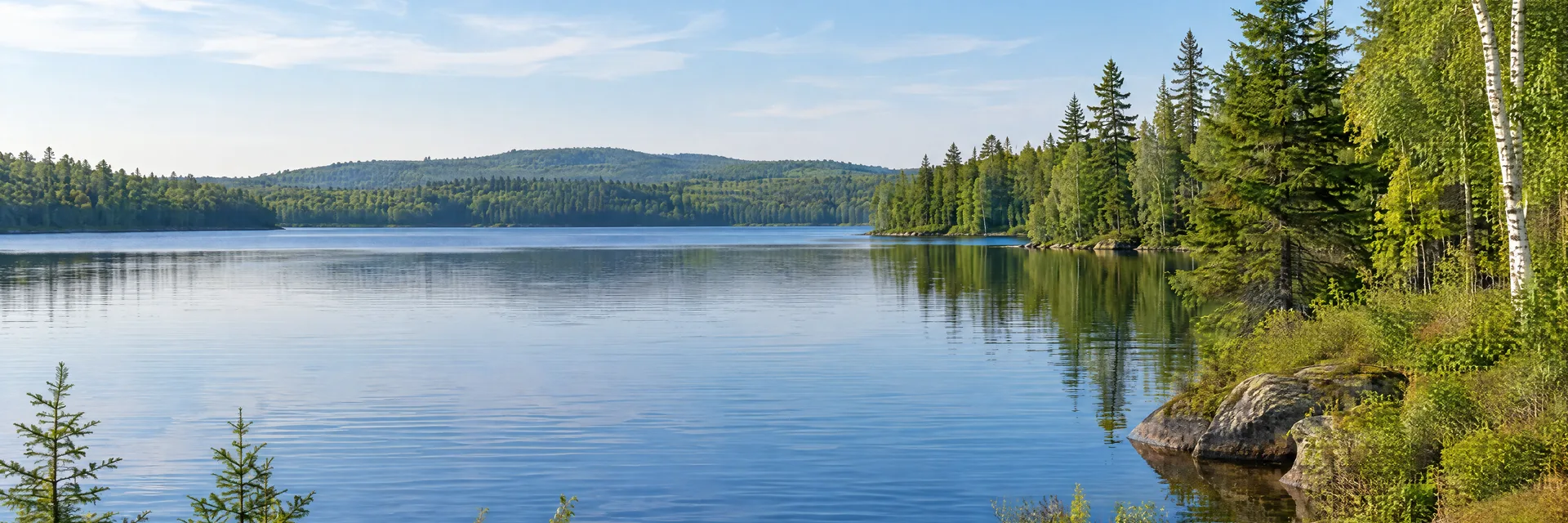 Illustration inspired by Holden, ME: central Maine peaceful freshwater pond with spruce, pine and birch forest and a soft low wooded horizon.