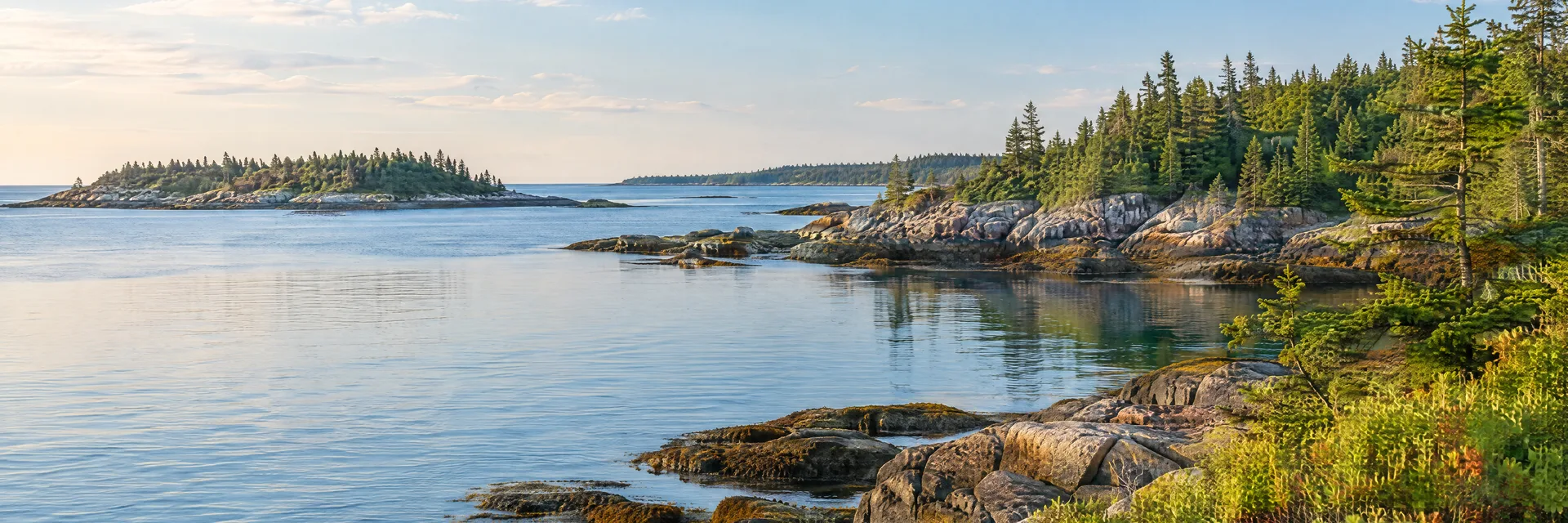 Illustration inspired by Kennebunkport, ME: southern Maine sheltered tidal cove, rocky shore and evergreen trees.