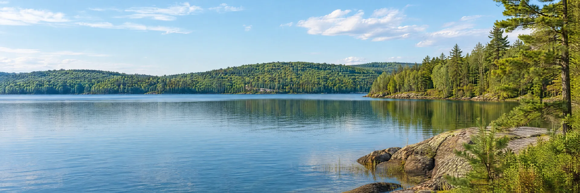 Illustration inspired by Lake Ann, MI: northern Michigan small clear lake, mixed pine-hardwood shoreline and gently rolling woods.