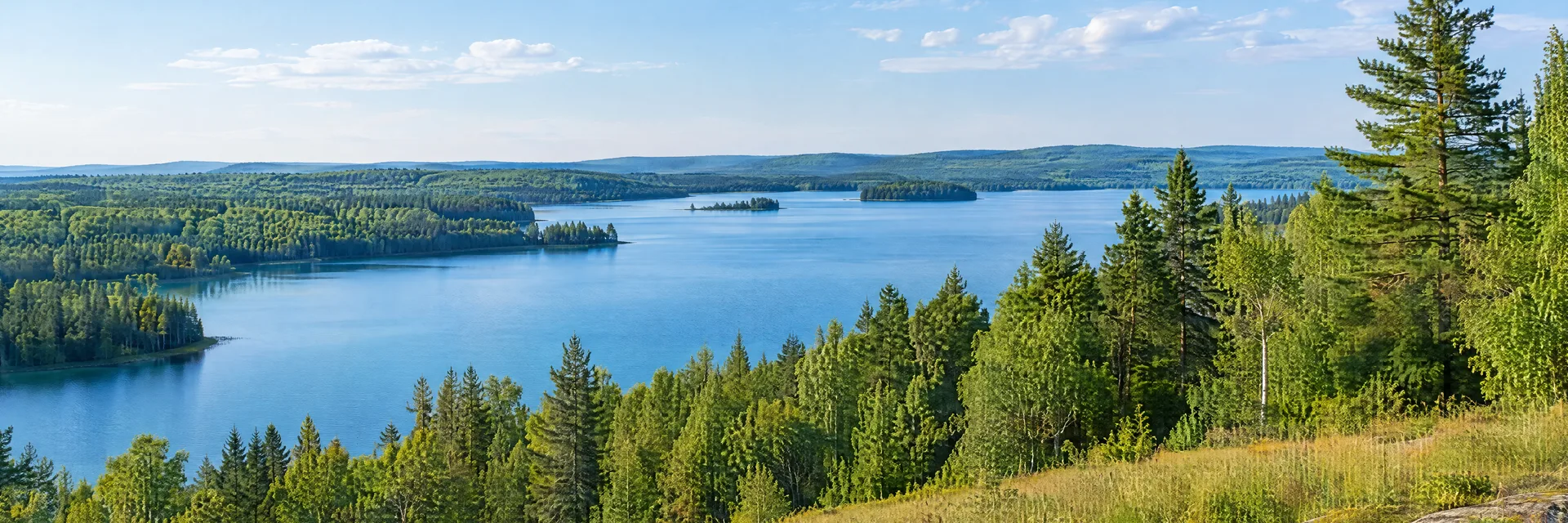 Illustration inspired by Lakes Of The North, MI: northern Michigan inland lake country, clear blue freshwater lake, pine and hardwood forest and softly rolling meadow.