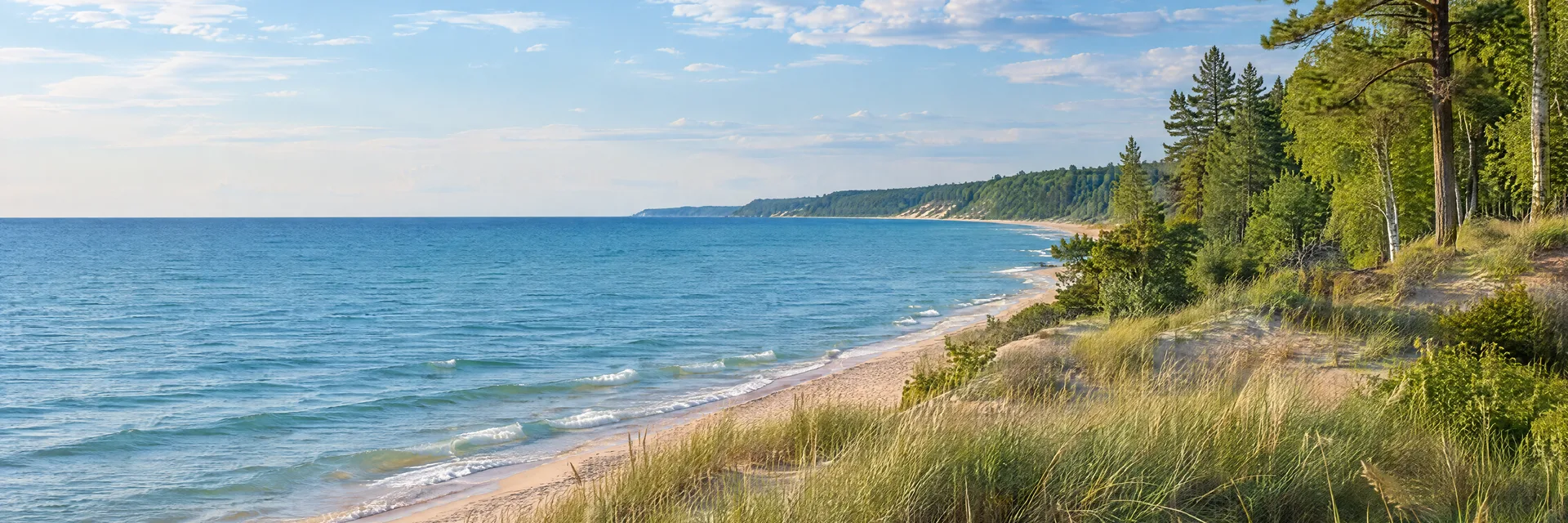 Illustration inspired by Muskegon, MI: lake Michigan freshwater shoreline, sandy dunes, beach grass and mixed pine-hardwood woodland.
