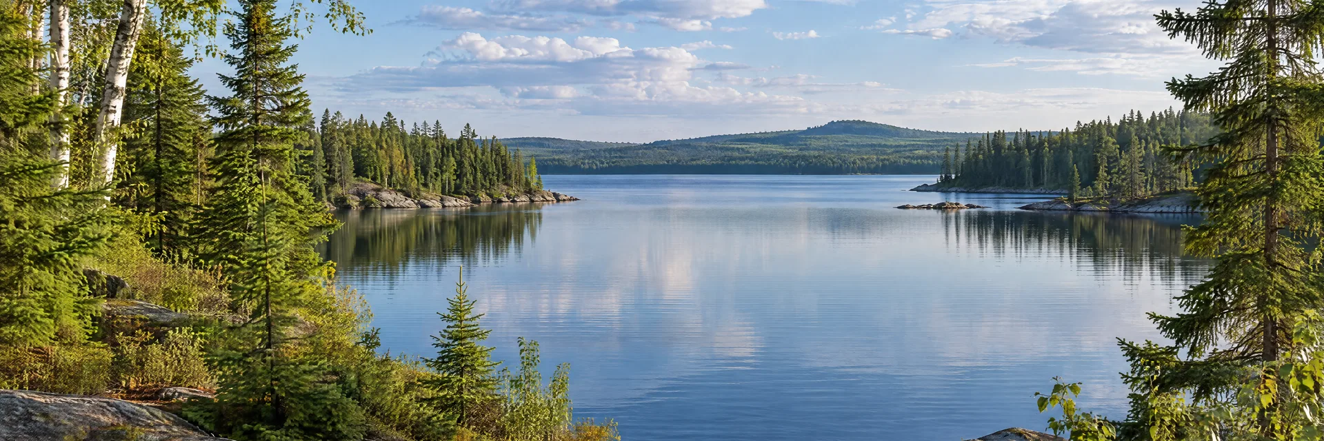 Illustration inspired by Newberry, MI: michigan Upper Peninsula forest lake with spruce, birch and quiet water.