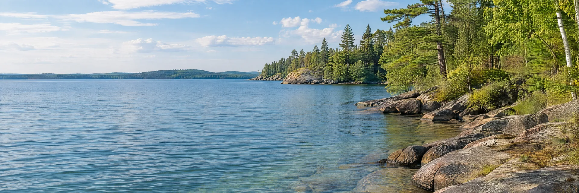 Illustration inspired by Spruce, MI: northeastern Michigan freshwater shoreline with mixed pine and hardwood forest.