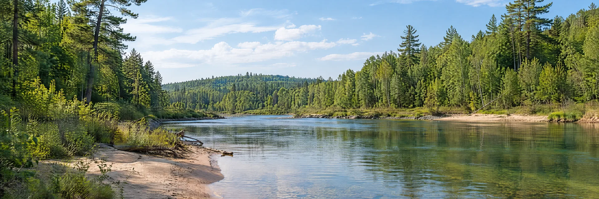 Illustration inspired by Wellston, MI: northwestern Michigan pine and hardwood forest, sandy riverbank and clear water.